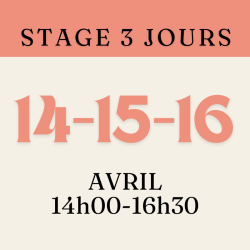 stage adultes
