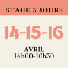 stage adultes